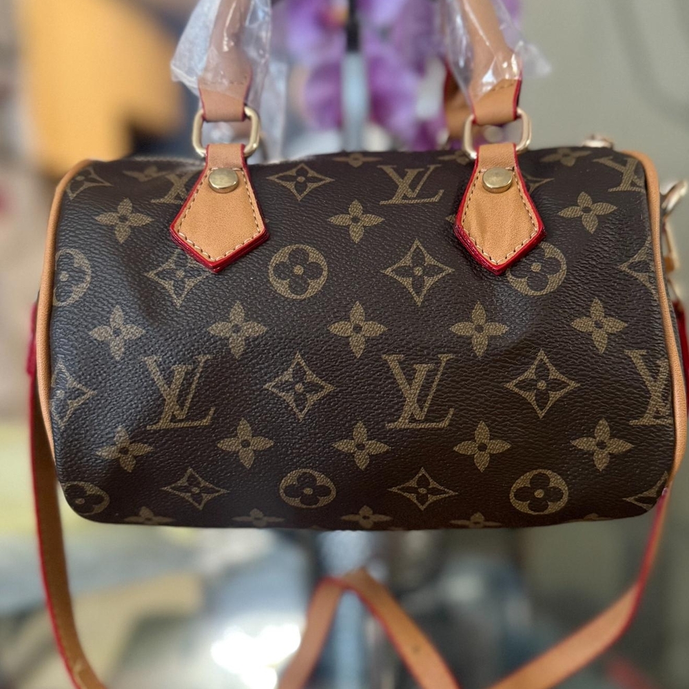 Louis Vuitton Monogram Mini Bag in Brown and Tan